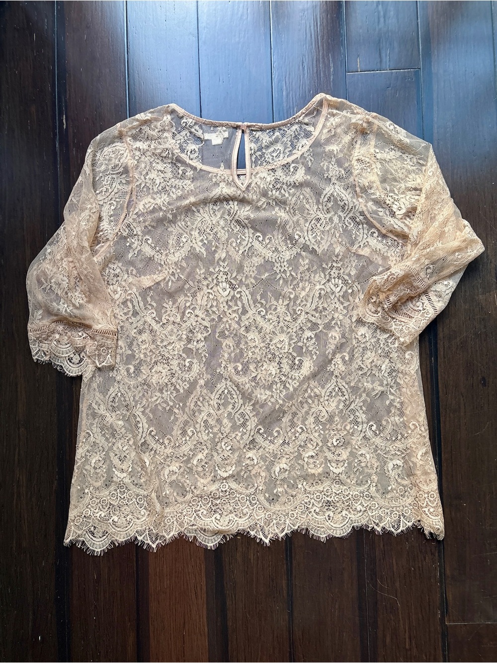 Ultra Pink Sheer Lace Blouse in Blush XXL Coquette Y2K Southern Belle - Picture 3 of 7